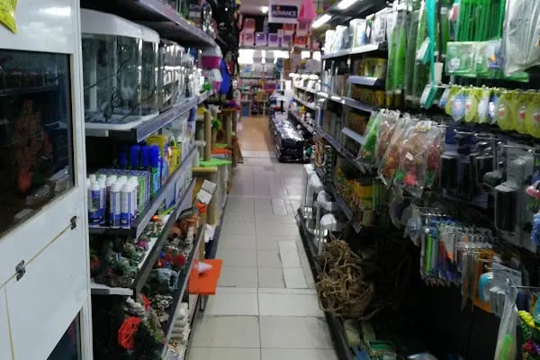 Karina Pet Shop - Resim 4