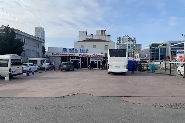 Efe Tur - Düzce Güven Terminali - Resim 20
