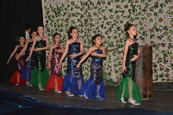 Ankara Akademi Sanat - Resim 5