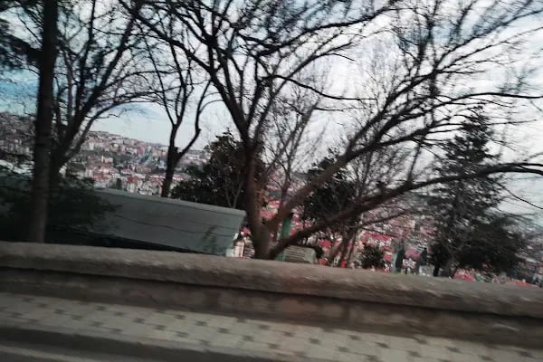 Panorama Trabzon Sitesi - Resim 8