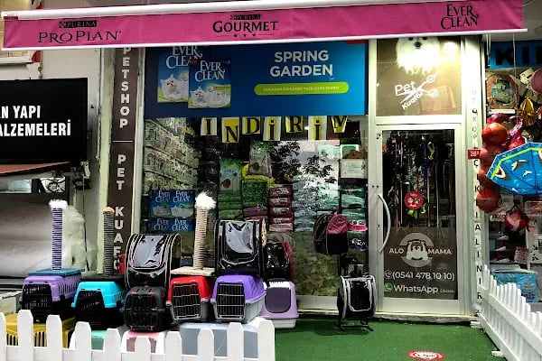 Avrupa pet shop - Resim 2