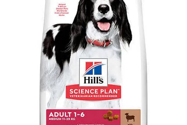 Avrupa pet shop - Resim 1