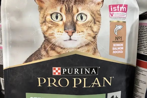 Avrupa pet shop - Resim 11