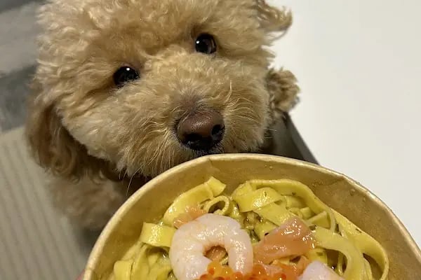Thin Food Bitez - Resim 20