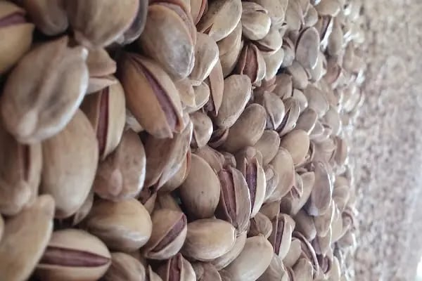 AÇIKGÖZ27 ANTEP FISTIĞI SHOWROOM &amp; SATIŞ MAĞZASI - Resim 2