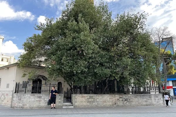 Şeyh Muhammed Fethül Maarif Hazretleri Camii - Resim 18