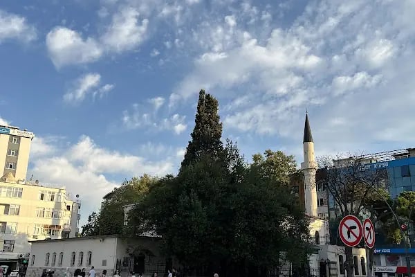 Şeyh Muhammed Fethül Maarif Hazretleri Camii - Resim 19