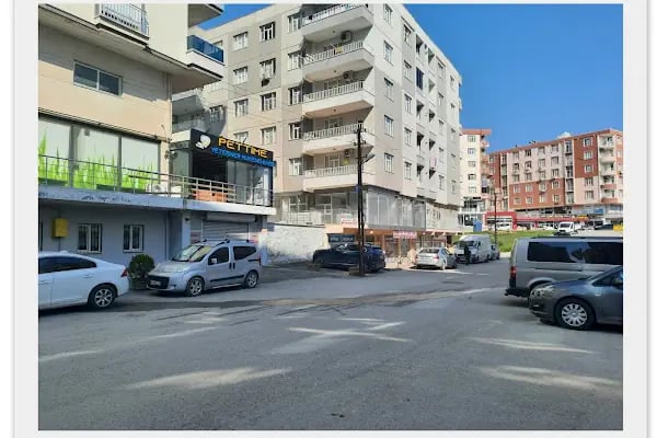 Diş Hekimi Halime Savci - Astro Dent Ağız ve Diş Sağlığı Kliniği - Resim 17