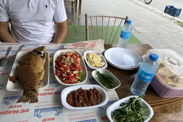Kurt Balık Evi Beyşehir - Resim 7