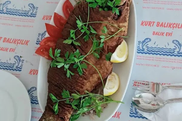 Kurt Balık Evi Beyşehir - Resim 8