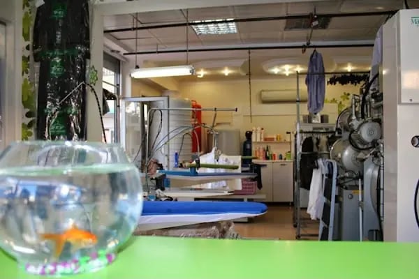 Dry Clean Life - Narlıdere Kuru Temizleme - Resim 12