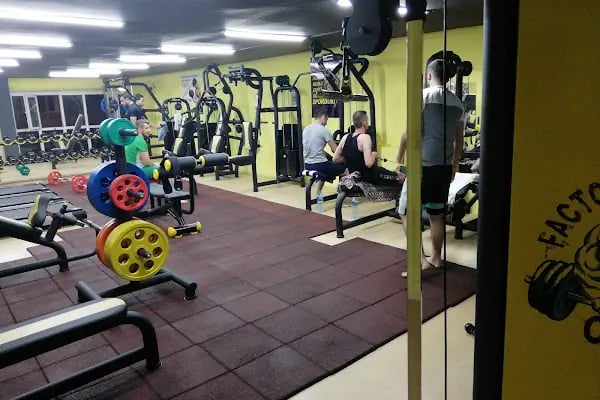 Bursa Kick Boks • Factory Sports Club Spor Kulübü - Resim 6