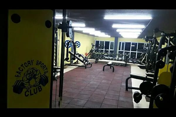 Bursa Kick Boks • Factory Sports Club Spor Kulübü - Resim 5