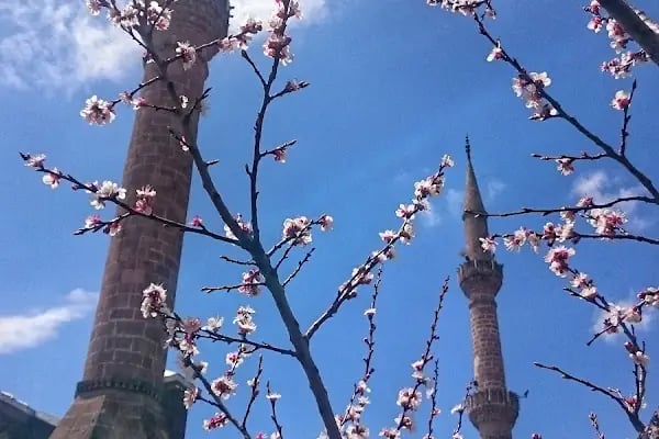 Fethiye Cami - Resim 11