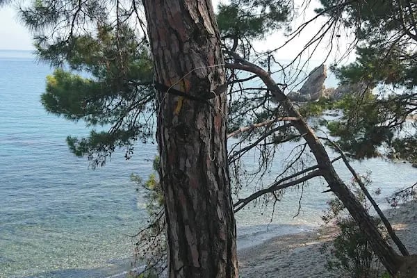 Anamur Belediyesi Sağlıklı Yaşam Parkı - Resim 15