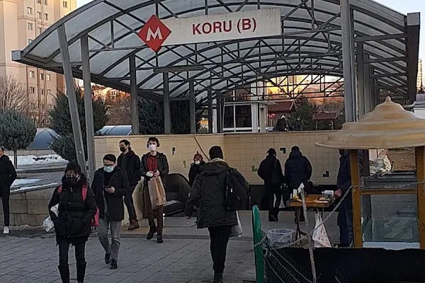 Koru - Resim 11