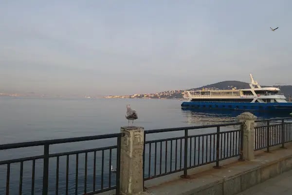 Heybeliada Mavimarmara Motor İskelesi - Resim 12