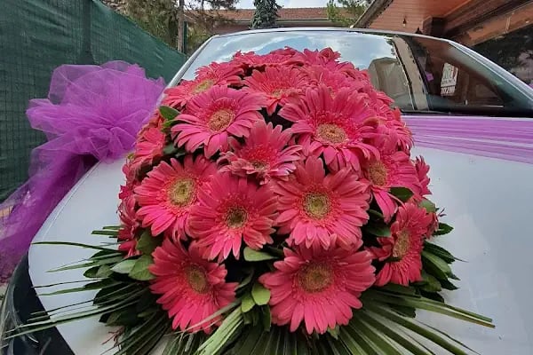 papatyam flowers - Resim 5
