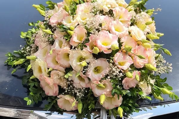 papatyam flowers - Resim 7