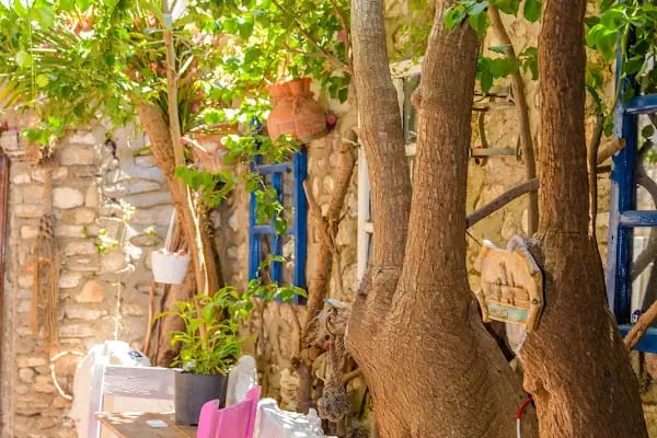 Taş Butik Otel - Resim 8