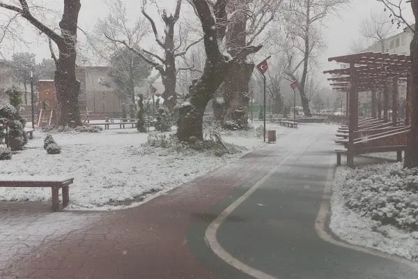 Gürsu Belediyesi Celal Bey Parkı - Resim 5