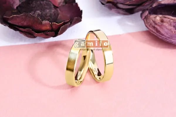 gamilo alyans - Resim 2