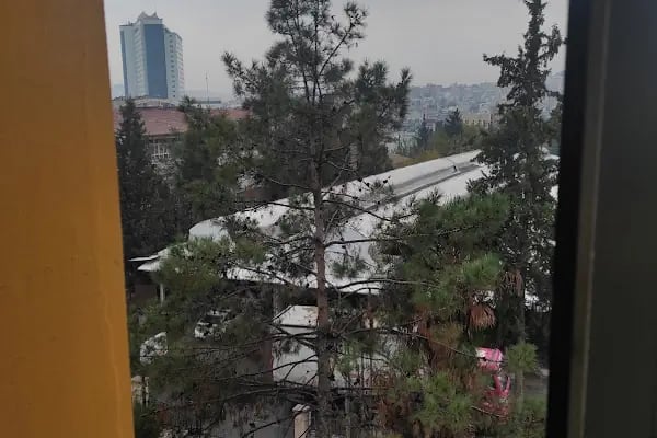 Tapu Ve Kadastro 21. Bölge Müdürlüğü - Resim 4