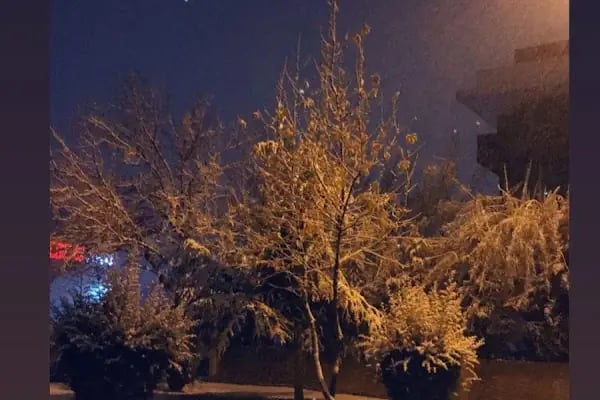 Asmalı Park - Resim 12