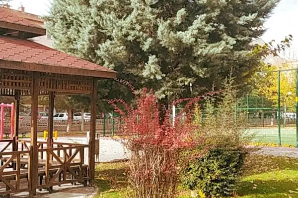 Asmalı Park - Resim 6