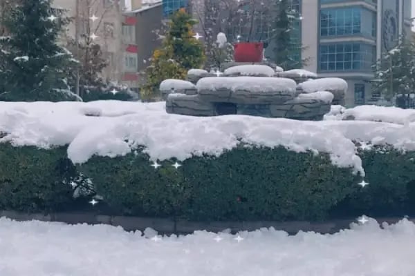 Asmalı Park - Resim 11