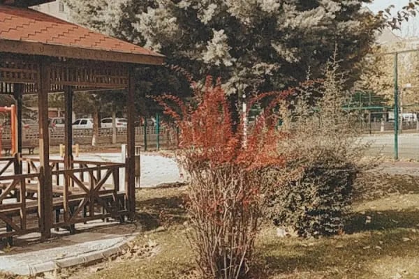 Asmalı Park - Resim 2