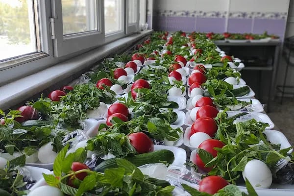 Yeni Ak Yemek İkram Organizasyon - Resim 12