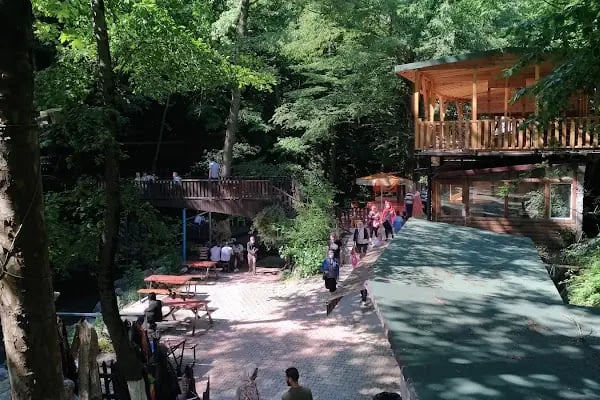 Harmankaya Kanyonu Tabiat Parkı - Resim 17