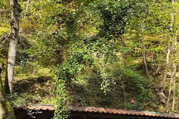 Harmankaya Kanyonu Tabiat Parkı - Resim 11