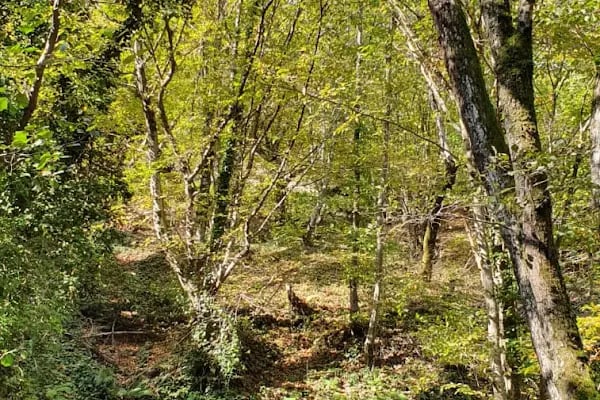 Harmankaya Kanyonu Tabiat Parkı - Resim 13