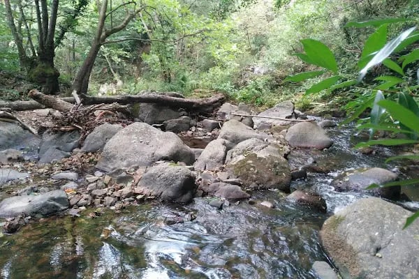 Harmankaya Kanyonu Tabiat Parkı - Resim 18