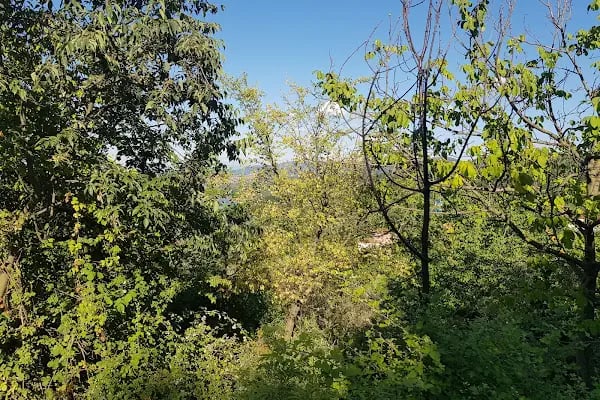 Harmankaya Kanyonu Tabiat Parkı - Resim 4
