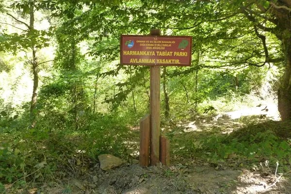 Harmankaya Kanyonu Tabiat Parkı - Resim 8