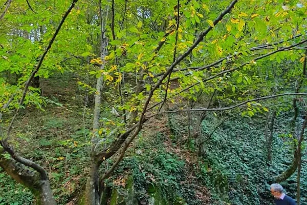 Harmankaya Kanyonu Tabiat Parkı - Resim 19