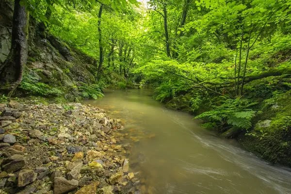 Harmankaya Kanyonu Tabiat Parkı - Resim 6
