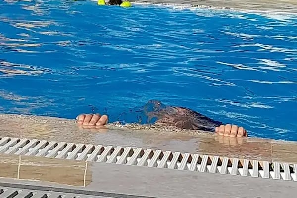 SAN AQUAPARK YÜZME HAVUZU VE EĞLENCE MERKEZİ - Resim 19
