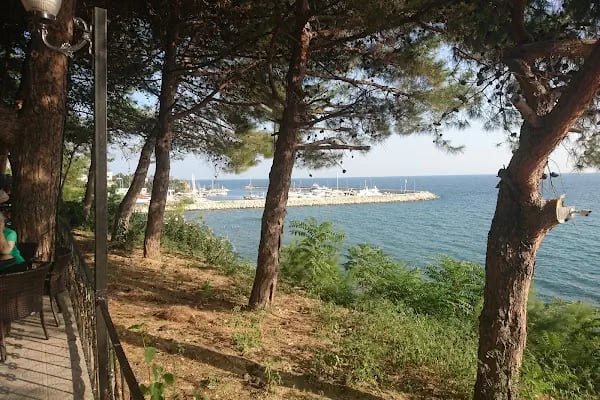 GÜZELCE MARİNA - Resim 16