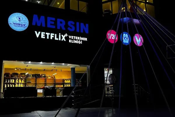 MERSİN VETFLİX⁺ VETERİNER KLİNİĞİ - Resim 4