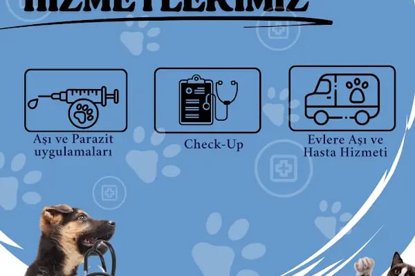 MERSİN VETFLİX⁺ VETERİNER KLİNİĞİ - Resim 5