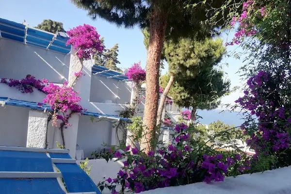 Sunset Mavi - Bodrum - Resim 18