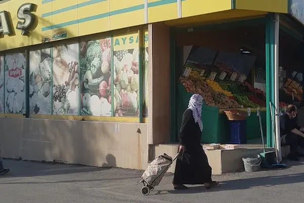 Aysaş Aydemiroğulları - Resim 2