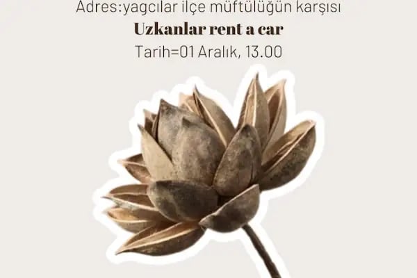 Uzkanlar Rent A Car - Adapazarı Şubesi - Resim 4