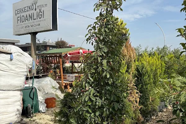 Çerkezköy Peyzaj ve Fidanlığı - Resim 9