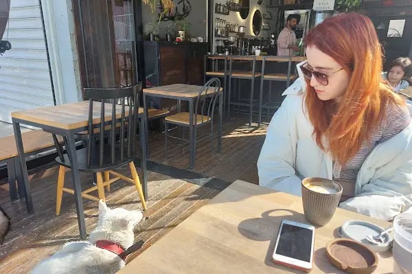 Cup Coffee Bakery - Resim 7