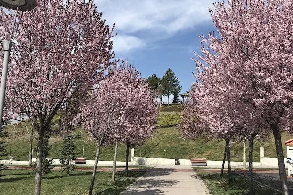 Muammer Aksoy Parkı - Resim 9